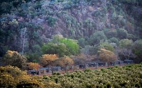 Lions Rock Rapids - Luxury Tented Camp